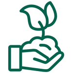 5-Apr-30-2025-09-42-34-4773-AM